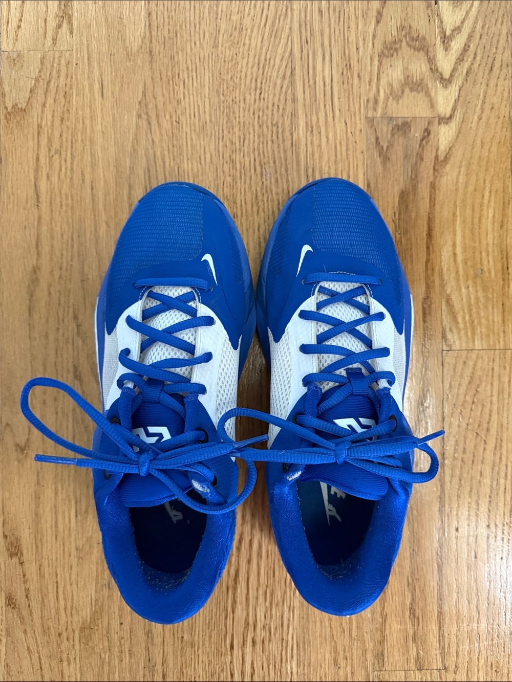 Nike Giannis Freak 4 Men’s Blue and White Basketball Shoes - Size 8